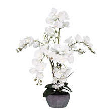 Load image into Gallery viewer, Large White Orchid Artificial Flowers 76 cm
