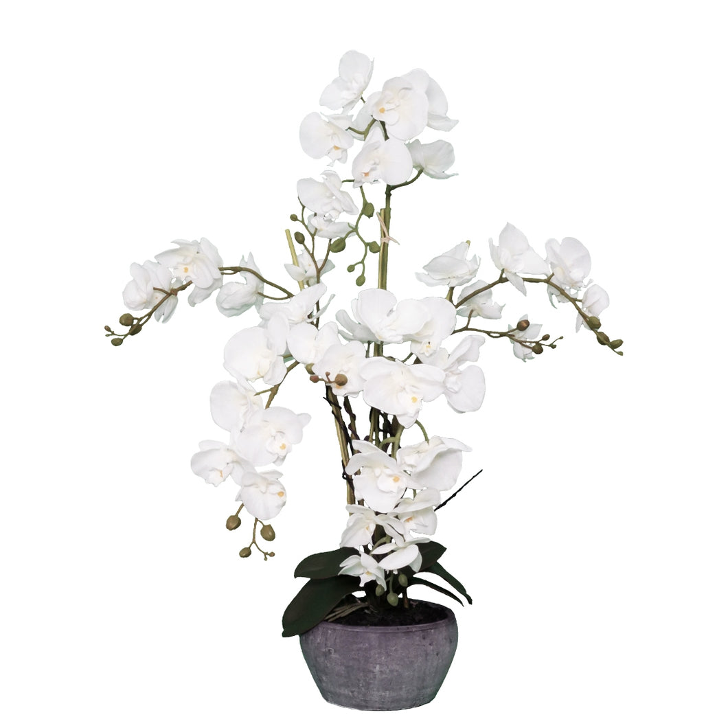 Large White Orchid Artificial Flowers 76 cm