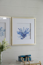 Load image into Gallery viewer, Set of 2 Hamptons Blue Coral Framed Prints Wall Art