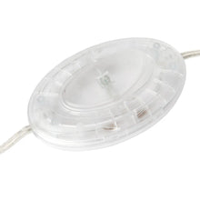 Load image into Gallery viewer, Snapper Floor Lamp