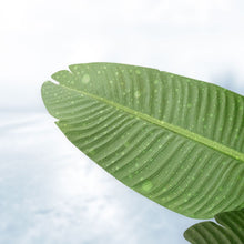 Load image into Gallery viewer, Tall Artificial Bird Paradise Tree 180cm