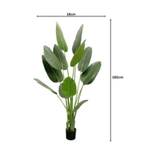 Load image into Gallery viewer, Tall Artificial Bird Paradise Tree 180cm