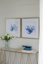 Load image into Gallery viewer, Set of 2 Hamptons Blue Coral Framed Prints Wall Art