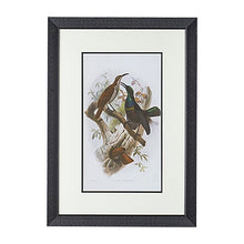 Load image into Gallery viewer, Birds Wall Art set of 2
