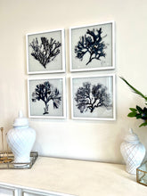 Load image into Gallery viewer, Coral Hampton Wall Art Canvas Set of 4
