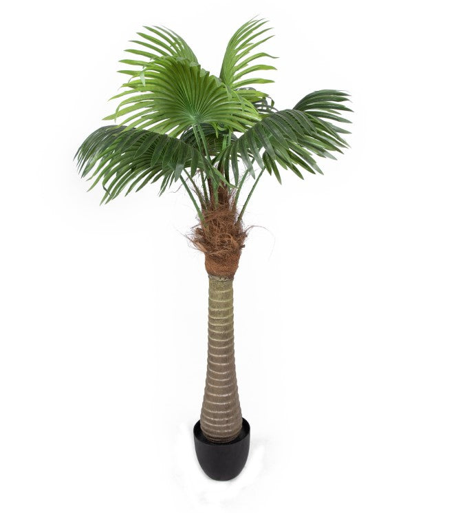 150cm Tall Artificial Phoenix Palm Tree