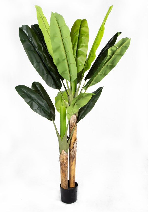 200cm Tall Artificial Banana Tree