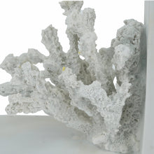 Load image into Gallery viewer, Hamptons White Coral Bookend - Decorative
