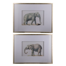 Load image into Gallery viewer, Set of 2 Elephant Framed Prints Wall art
