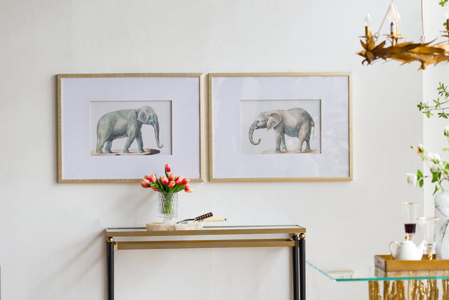 Set of 2 Elephant Framed Prints Wall art