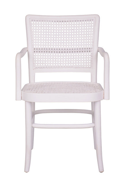 Palm Armed Rattan Dining Chair White - CST