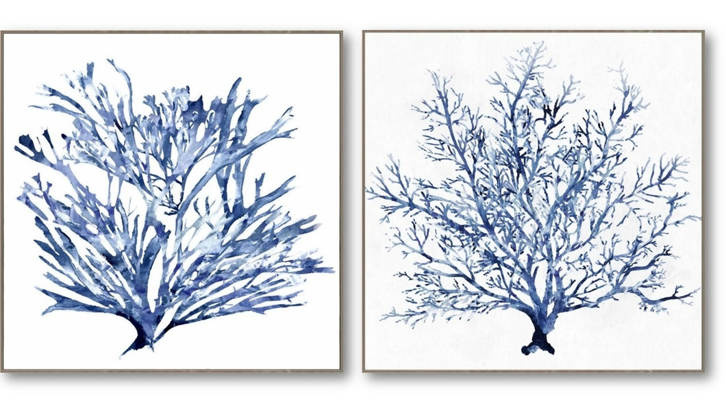 Set of 2 Hamptons Blue Coral 84 cm Framed Canvas Wall Art