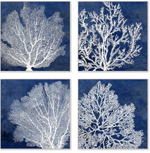 Load image into Gallery viewer, Navy Blue Hamptons Coral Wall Art/Canvas set of 4
