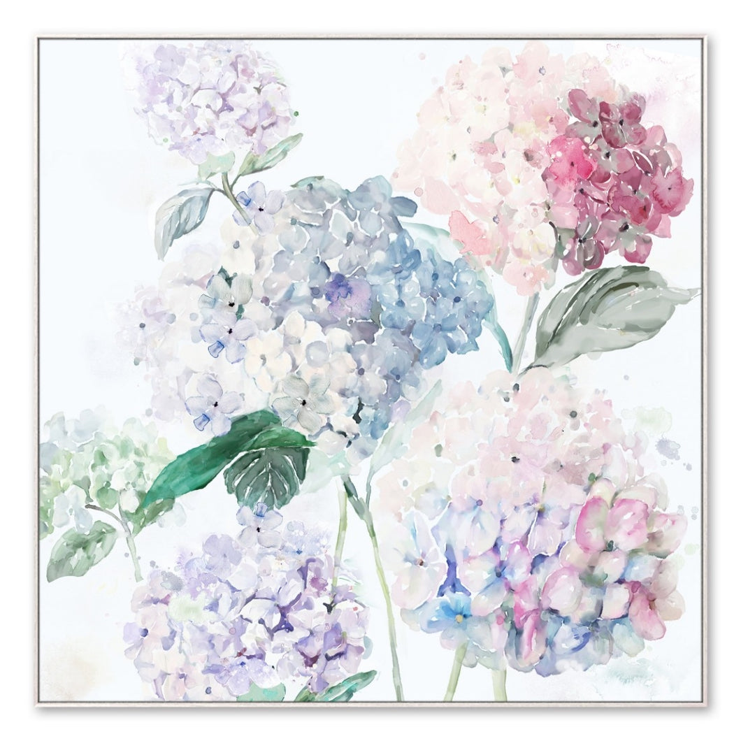 Rainbow Hydrangea Framed Canvas 100 cm - Wall Art