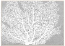 Load image into Gallery viewer, Hamptons Coral in Grey Canvas Wall Art 140x100 cm
